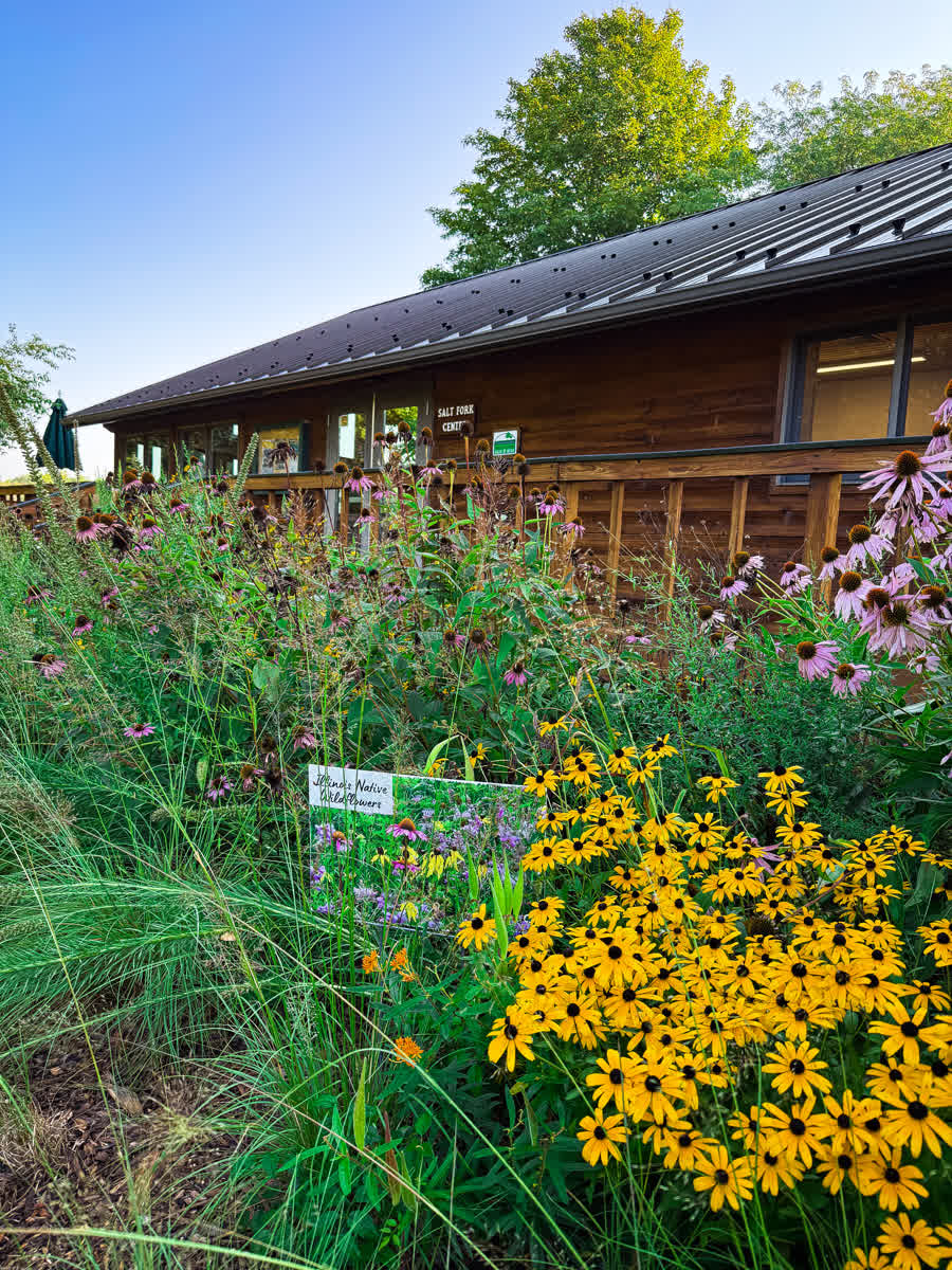 Venue grounds landscaped with native Illinois wildflowers where we catered